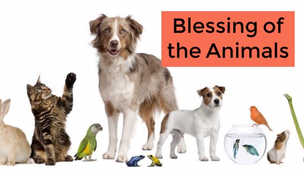 Walk-Up Blessing of the Animals - Sunday, 10/10 from 4-6pm