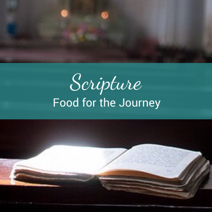 scripture-food-for-the-journey_317